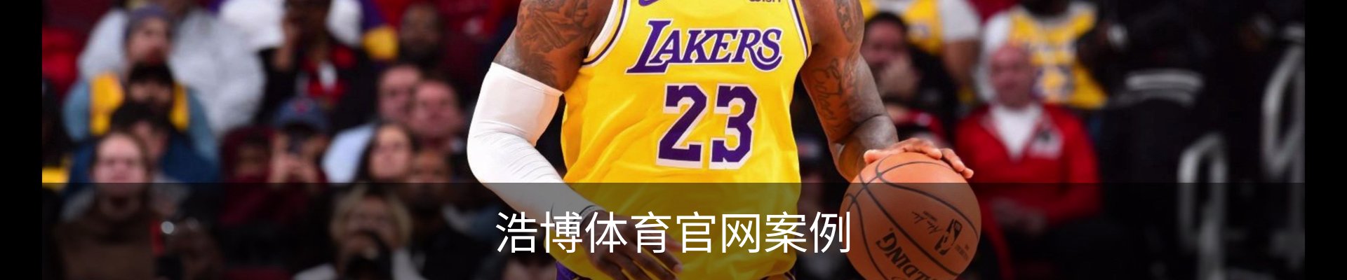 浩博体育官网案例